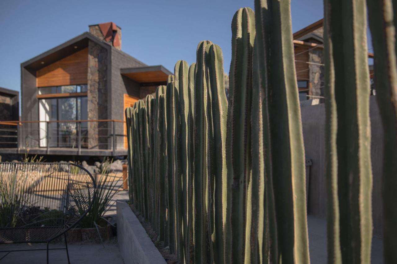 Sirius Valle Valle de Guadalupe Buitenkant foto